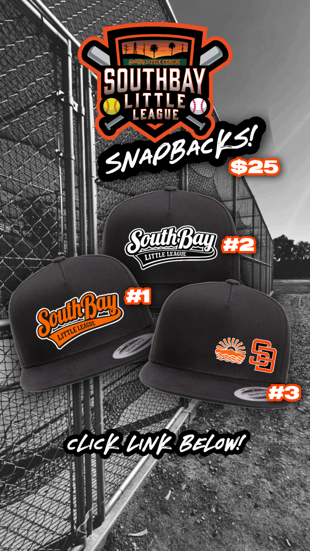 SBLL SNAPBACKS